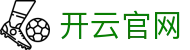 开云(Kaiyun)中国官方网站 - KAIYUN 品牌数字化服务与赛事资讯枢纽